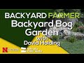 Backyard Bog Garden