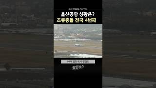 울산공항 조류충돌 전국 4번째..활주로 길이도 짧아