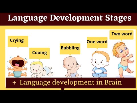 Language Development Stages In Childhood | Babbling Cooing - YouTube