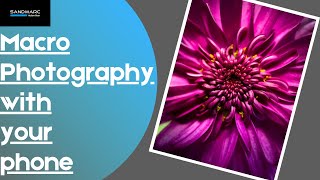 How to shoot macro photography with a phone.