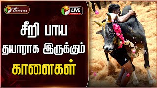 🔴LIVE : இந்த ஆண்டின் முதல் ஜல்லிக்கட்டு.. சீறி பாய தயாராக இருக்கும் காளைகள் | Thatchankurichi  | PTT