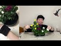 【いけばな 11】小原流いけばな「菊の三種挿し」色彩盛花様式本位 【flower arrangement】