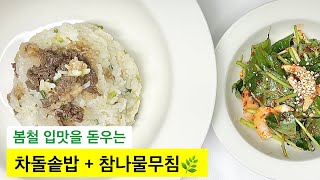 봄철 입맛을 돋우는 차돌솥밥 + 참나물무침🌿