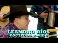 LEANDRO RÍOS - COCTEL DE OLVIDO (Versión Pepe's Office)