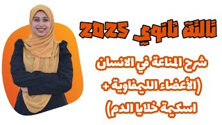 شرح المناعة في الانسان (الأعضاء الليمفاوية + اسكيمة خلايا الدم البيضاء) || أحياء تالتة ثانوي 2025