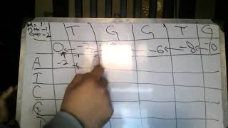 Introduction to Bioinformatics - Needleman Wunsch algorithm - Part 2 (Lecture 11)