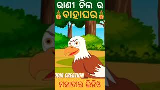 ରାଣୀ ଚିଲ ର ବାହାଘର #cartoon #tikichadheigapa #odiacartoon #birdstory