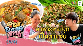 เป็นตาแซ่บอาหารจานบุก แกงบุกใส่อีฮวก-ซุปผักติ้ว | ตามอำเภอจาน | 7 ต.ค.66 (3/3)