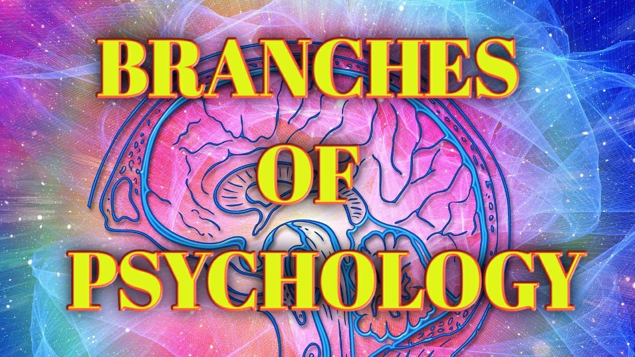 Branches Of Psychology (Class XI) - YouTube