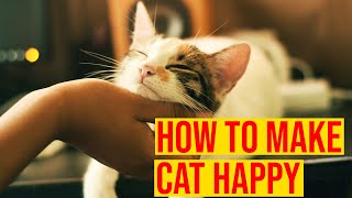 How To Make Your Cat Happy/ All Cats
