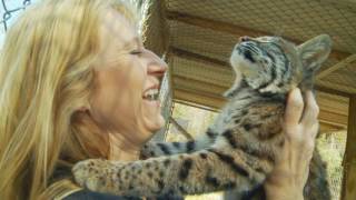 The Texas Bucket List Summer Stops - Tiger Creek Refuge