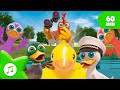 [ 📺 ] 5 Little Ducks 🦆 | Quacky Kids Songs | Zenon The Farmer