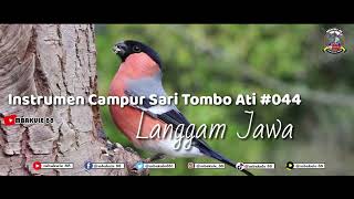 Instrumen Sholawat langgam Jawa tombo ati  Free Download Backsound Youtube #mbakule88 #ncs #044