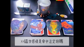 塔羅占卜❣️這份感情是命中註定嗎？(靈魂伴侶? twinflame?)