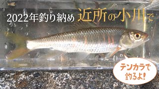 近所の小川で釣り納め 2022