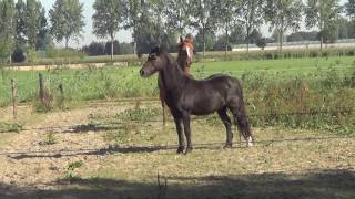 Met de ORVA De Boer Op - Kampeerboerderij De Spijken