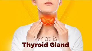 What is Thyroid Gland: Facts, Function & Diseases | Hypothyroidism | Hyperthyroidism