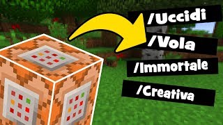 COME UTILIZZARE I TRUCCHI DI MINECRAFT (EDUCATIVO)