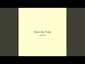 Silver Sky Pulse