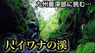 九州のかなり山奥でルアーを投げたら尺を越える大イワナが釣れました【渓流釣り】