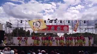 海友会 dance team 楽舞和 ＠弁慶よさこい2013 予選演舞