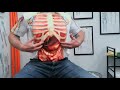 Diaphragm Muscle Self Release for Tension