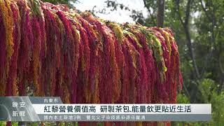 拓展紅藜銷售通路 金峰鄉首辦紅蔾季活動｜每日熱點新聞｜原住民族電視台