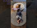 二歳児をそばで見守る柴犬 shorts