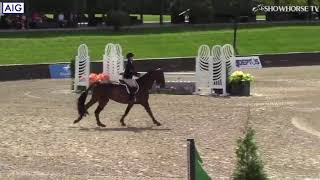 Cascadelle - Dover Saddlery Adult Medal M\u0026S Finals Sep 2020