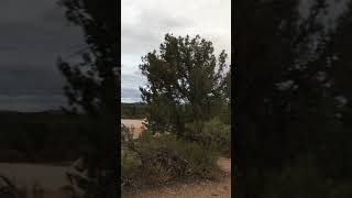 Video of Horsethief Campground, UT from Kelsey M.