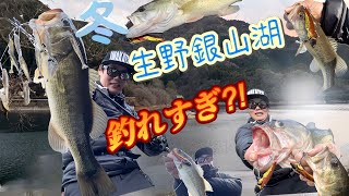 【真冬】極寒の生野銀山湖で釣れすぎ⁈【バス釣り】