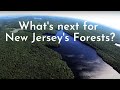 What's next for New Jersey's forests?