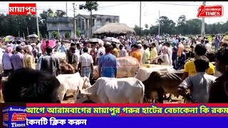 কুরবানী ঈদের ঠিক আগে আরামবাগের মায়াপুর গরুর হাটের বেচাকেনা কি রকম তার চিত্র দেখুন