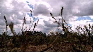 Timelapse.The nature around Bobruisk.