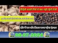 vietnam black pepper price | dry ginger price | sonth price