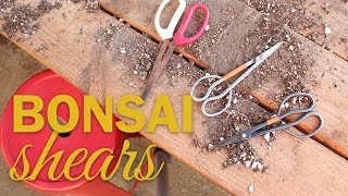 Bonsai Tools: Choosing a Bonsai Shear