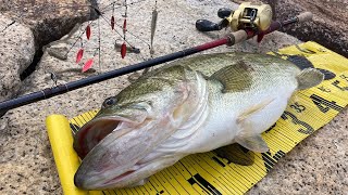 When I tied up the umbrella rig, I caught a big bus! You can still catch it [Lake Biwa bass fishing]