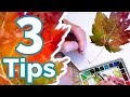 How To Paint a Watercolor Pt2 - 3 Tips for Beginners