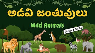 అడవి జంతువులు (Adavi Jantuvulu) - Wild Animals Name in Telugu \u0026 English