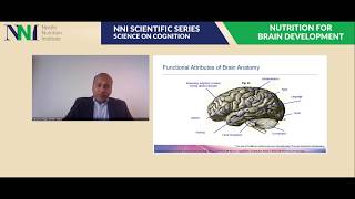 Nutrition for Brain Development
