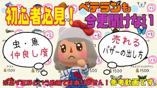 【ポケ森】初心者必見‼︎今更聞けない日常での仲良し度を上げる方法と売れるバザーの出し方！