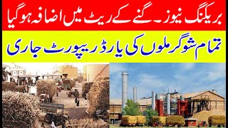 Good news on today Sugarcane rate punjab 2024-25| Sugarcane Sugar mils rates گنے کا ریٹ اہم خبر