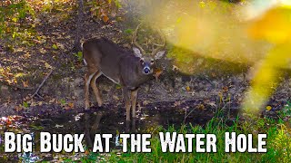 Big Buck at 30 Yards – Hunting a Water Hole