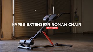 Sunny Health & Fitness Hyperextension Roman Chair w/ Dip Station - SF-BH620062