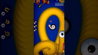 🐍WormsZone.io ❤001 Slither Snake Top01 /Best World Record Snake Epic cacing WormsZoneio #558