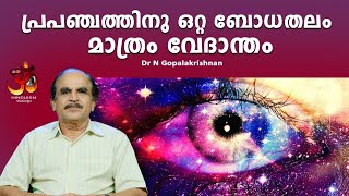 പ്രപഞ്ചത്തിനു ഒറ്റ ബോധതലം മാത്രം വേദാന്തം|Dr N Gopalakrishnan