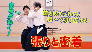 首絞めを打開する！力を使わない密着の技術　扶桑会509 張りと密着　大東流合氣柔術