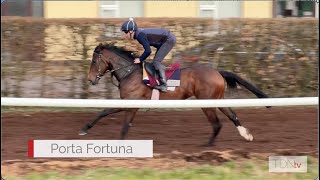 Porta Fortuna Headlines Banner Year for Medallion Racing