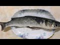 台北港 釣魚 釣遊紀錄 午仔魚耶 釣魚台北港fish釣魚20180128