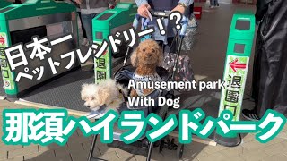 【那須旅行前編】佐野IC→那須ハイランドパークでわんこと遊び倒してきた#犬とおでかけ